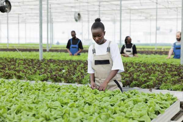 Quelles sont les différentes méthodes d'enrichissement de données ?